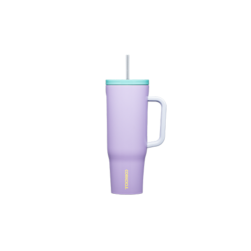 Corkcicle Cruiser - 1180ml 40oz Purple Dolphin