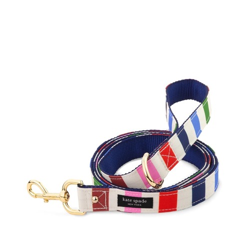 KSNY Leash (M/L), Adventure Stripe