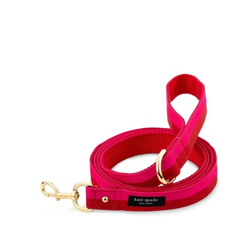 KSNY Leash (M/L), Colorblock Red/Pink