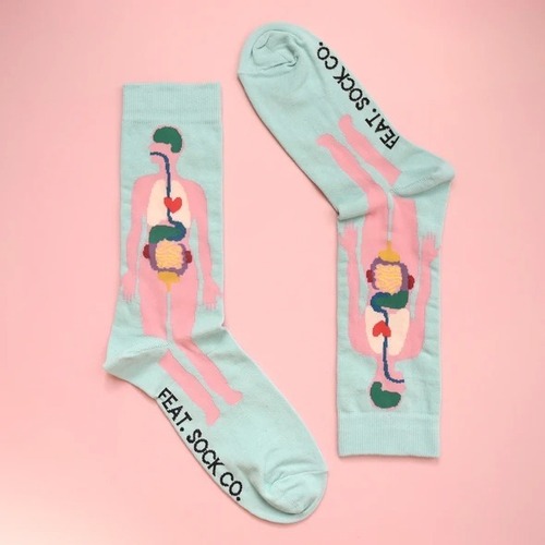 Ladies' Anatomy socks