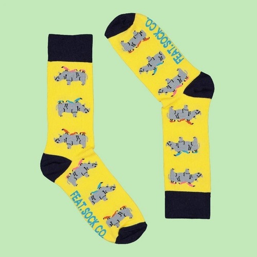 Men's Yellow Rhino & Birdy socks