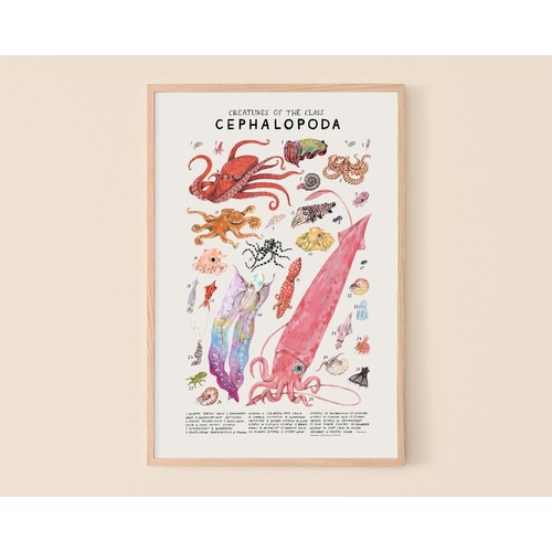 Cephalopoda Print