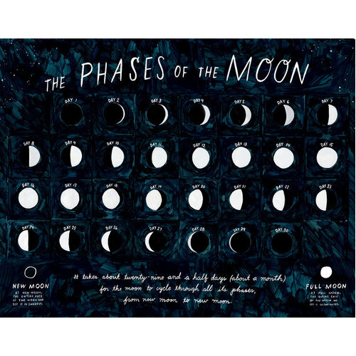Phases of the moon print - D